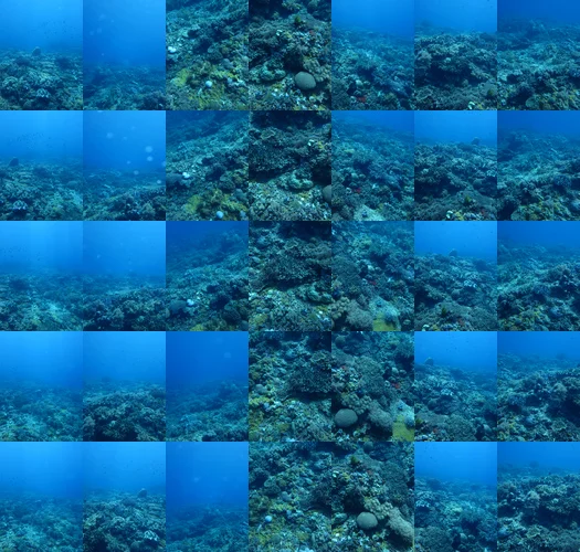  35 single pictures (3648x2736) taken with Canon Powershot s95 in a
underwater housing at the incredible apo island reef in the philippines.
