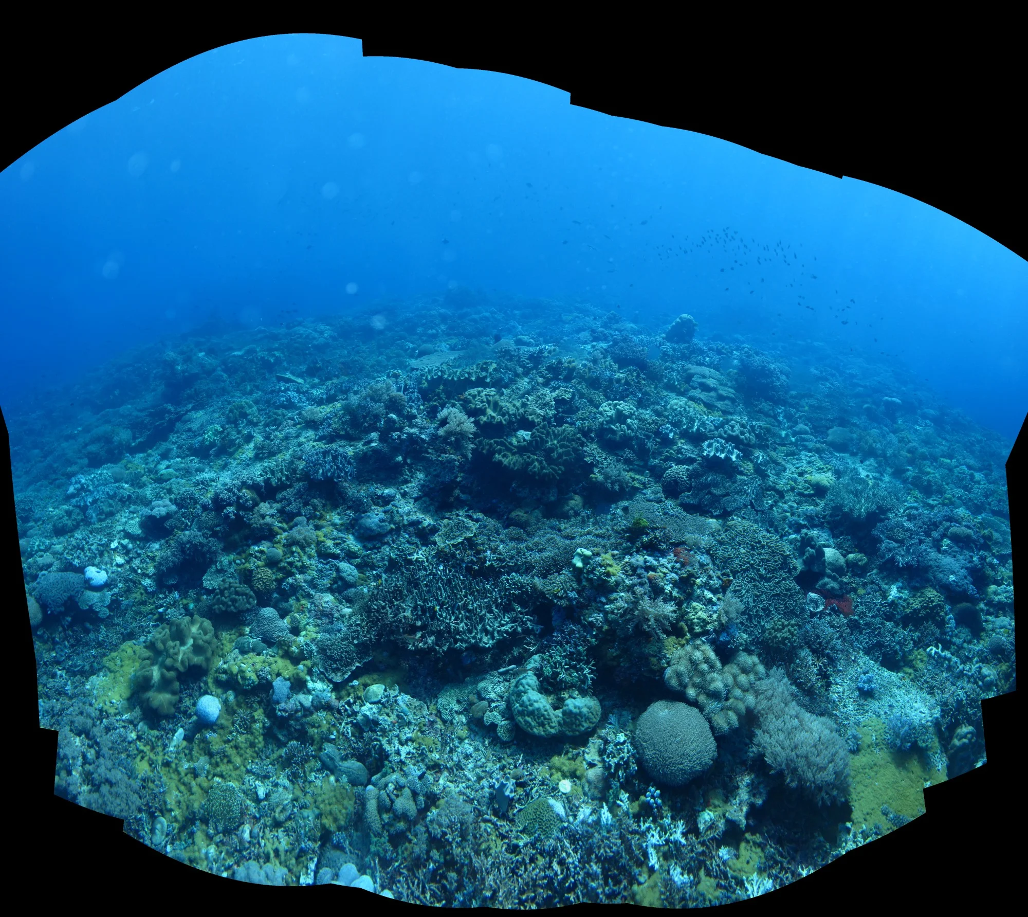 Stiched panorama using PTGui