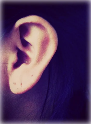 ear no text.jpg