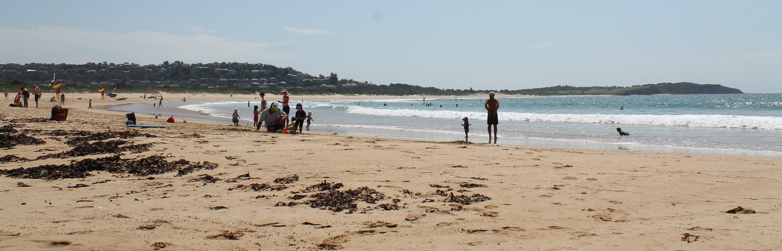 Dee Why Beach 