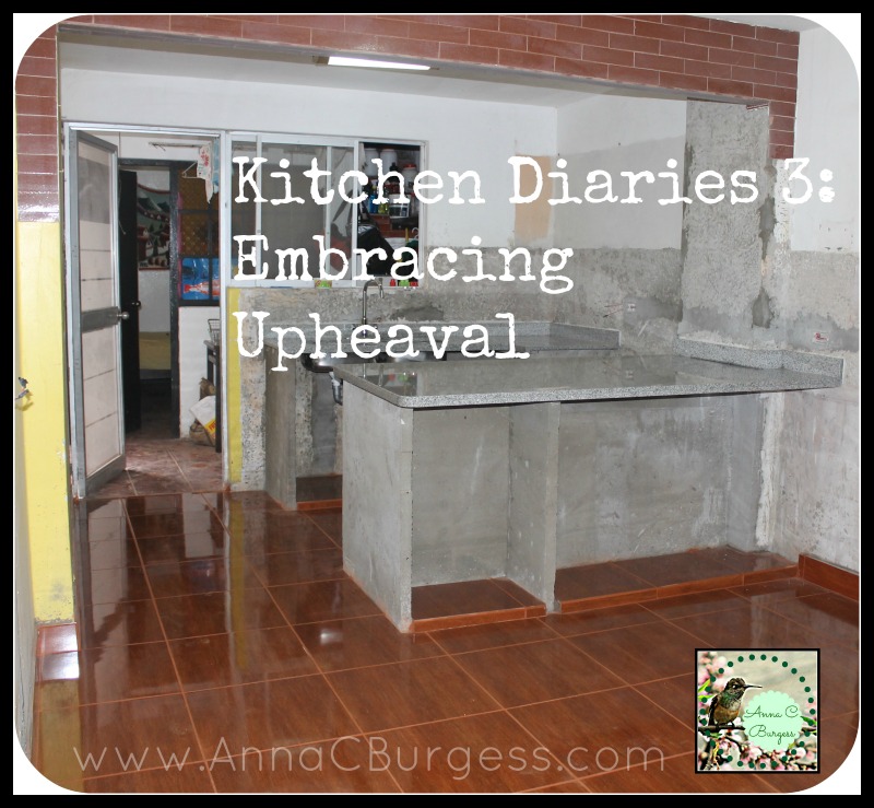 Kitchen Diaries Part 3: Embracing Upheaval