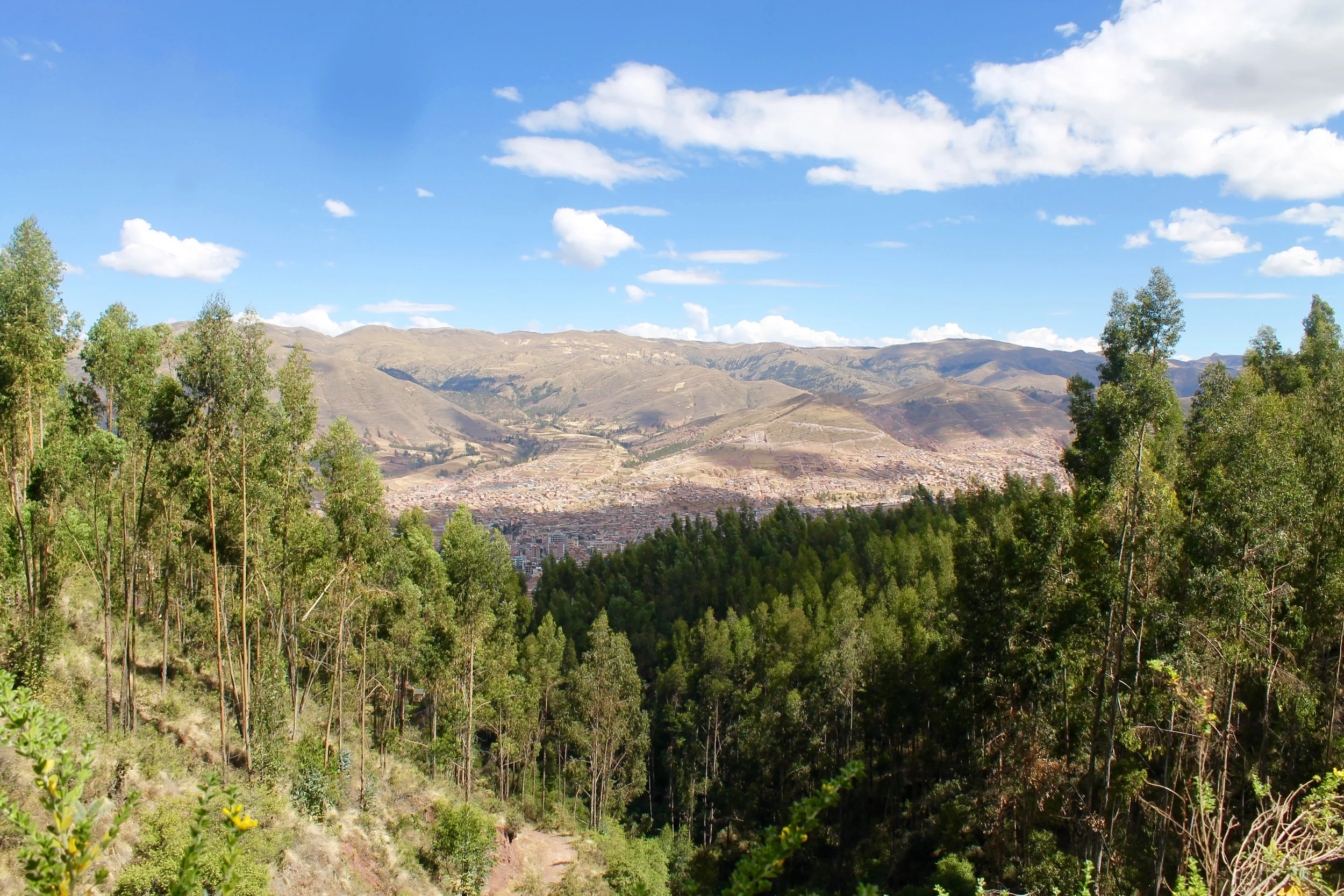 IMG_5131.jpg