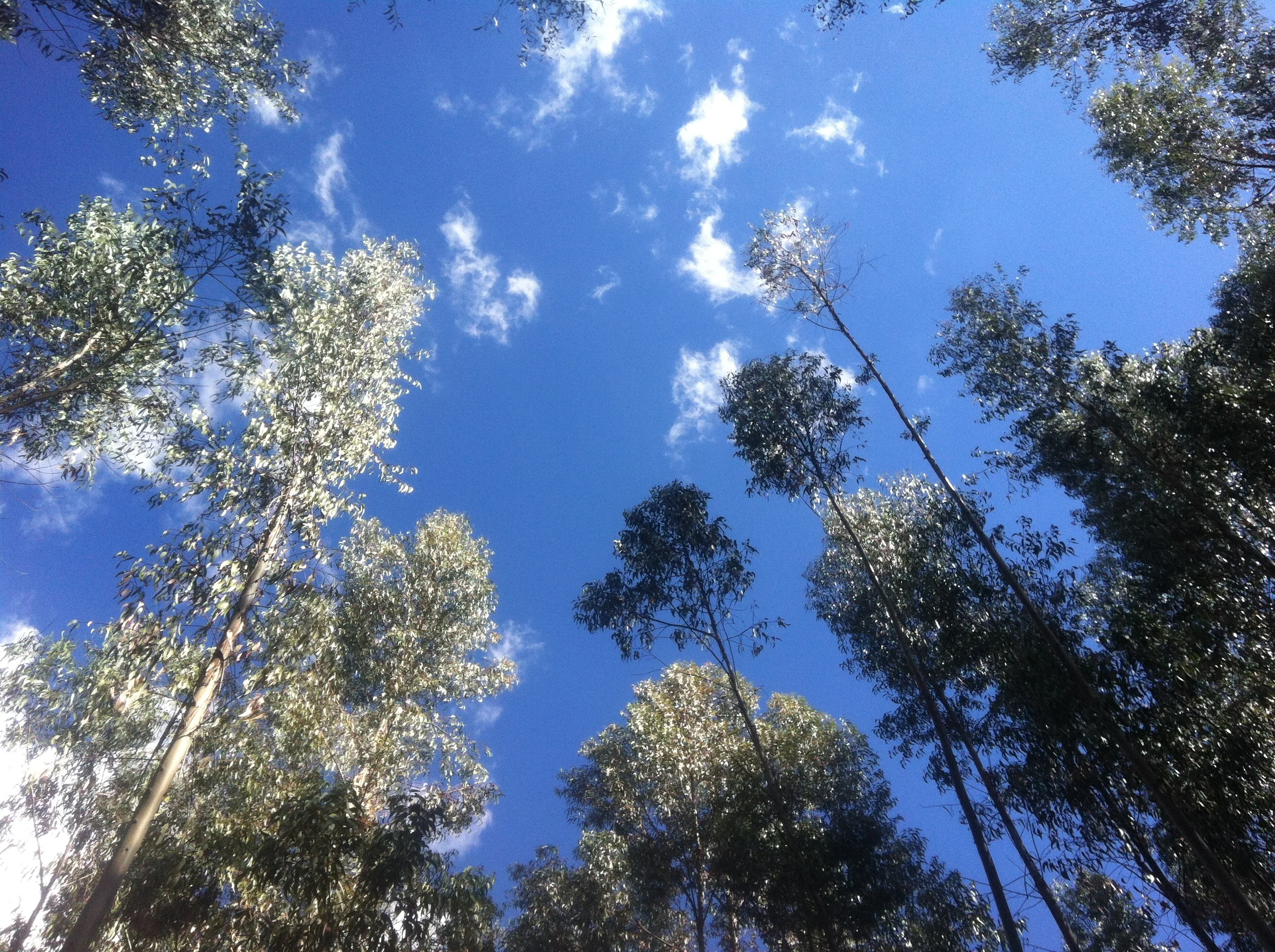 Practicing rest: a family holiday