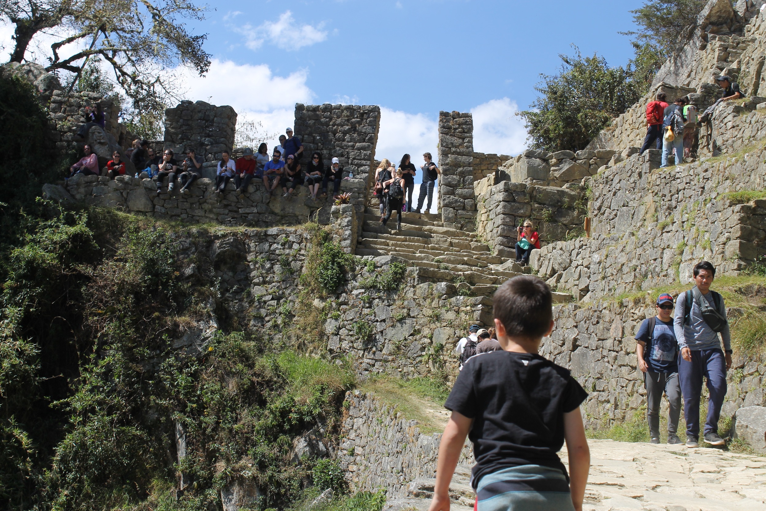  Last time Mark and I visited Machu Picchu 10 years ago (to the week!) we didn't make it up to the Sun Gate, which is a good hour's walk from the bottom of Machu Picchu. &nbsp;This time we made it half way up and then Mark and Daniel continued on the