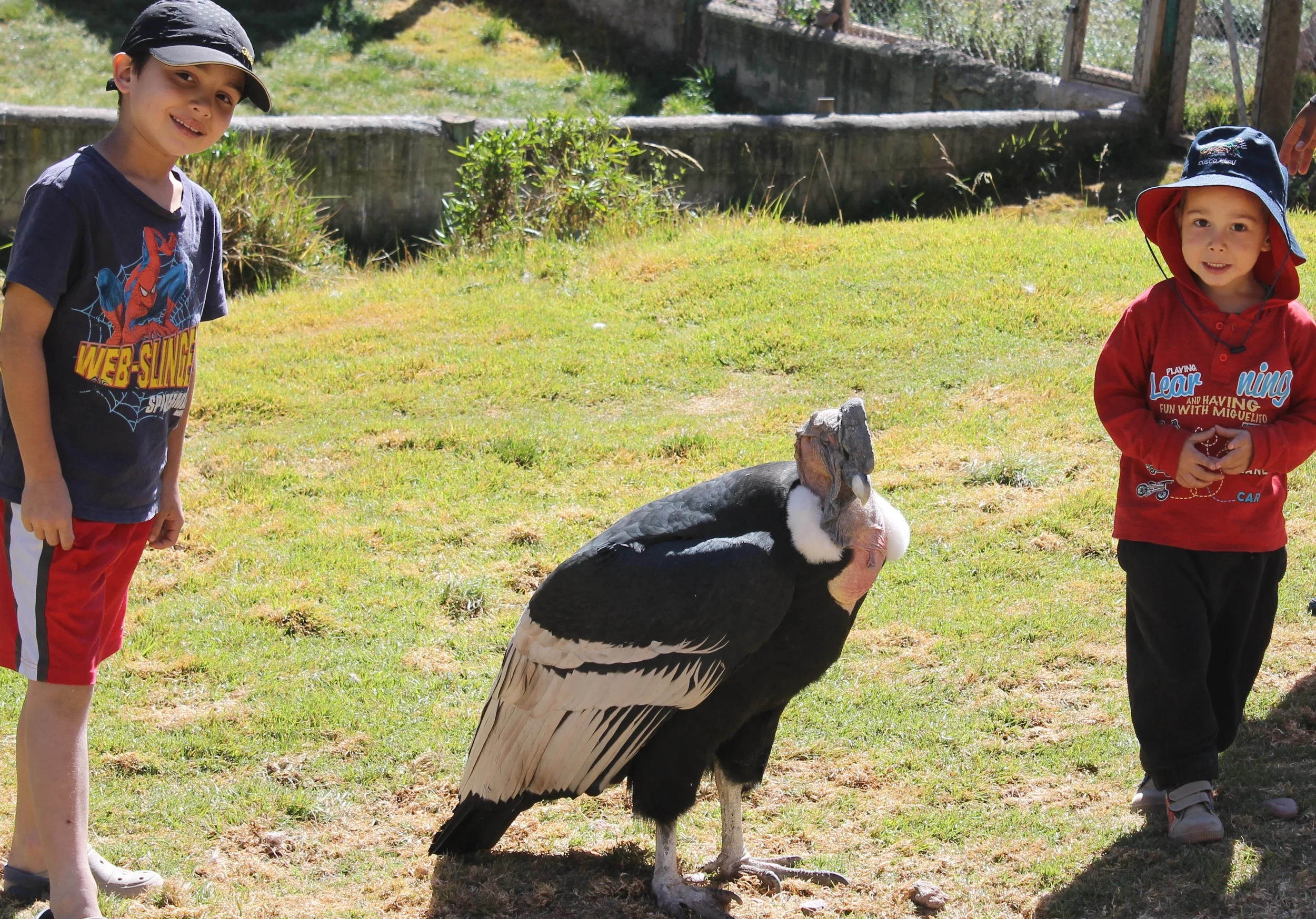 Final reflections or why I am glad we did not road trip 