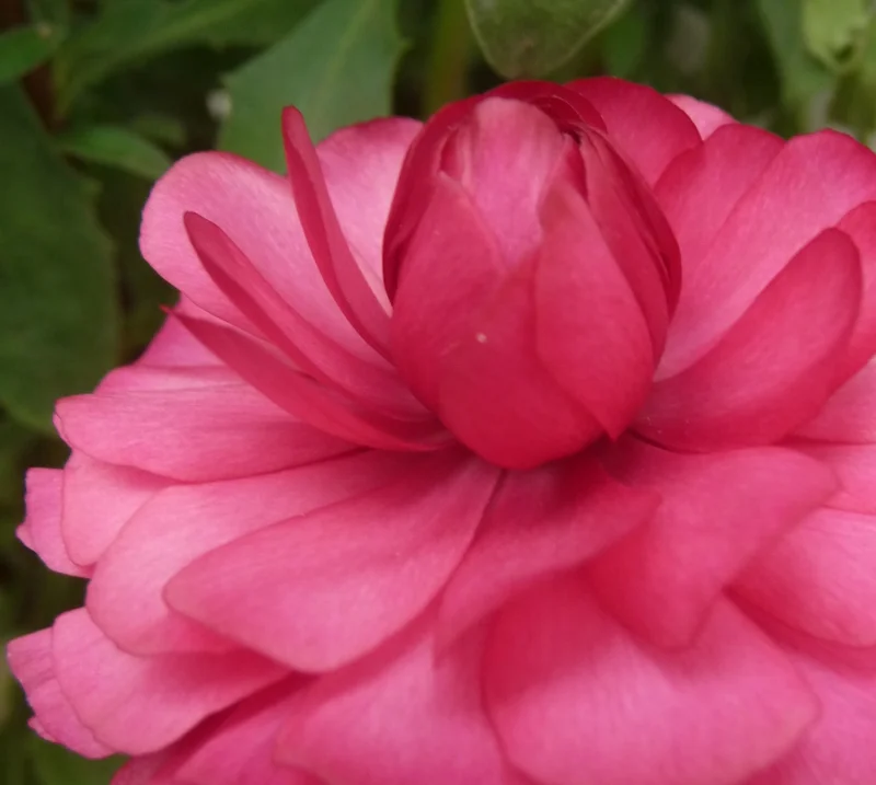 Copy of P1110200-1.JPG