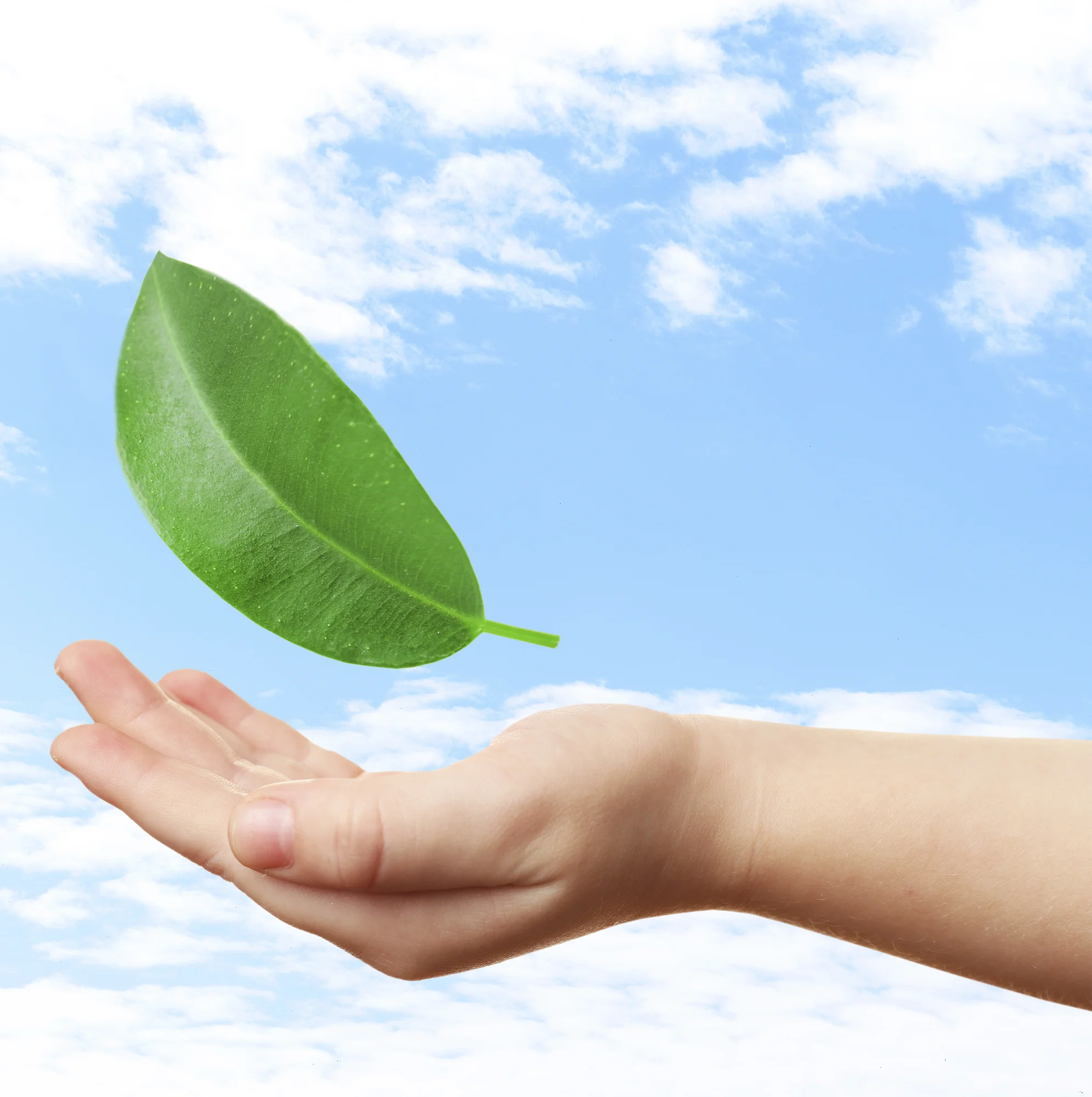 How can I care about creation without getting overwhelmed?