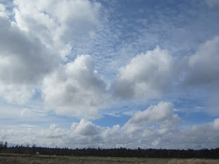IMG_5287.JPG