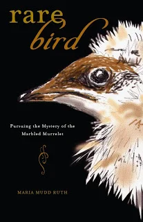 Rarebirdcover.jpg