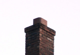 Vaux's Swifts prefer tree hollows, but will roost in chimneys like this one--large, open, and tree-hollowesque. 