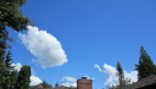 IMG_6194.JPG