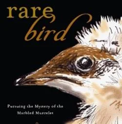 cover1.jpg