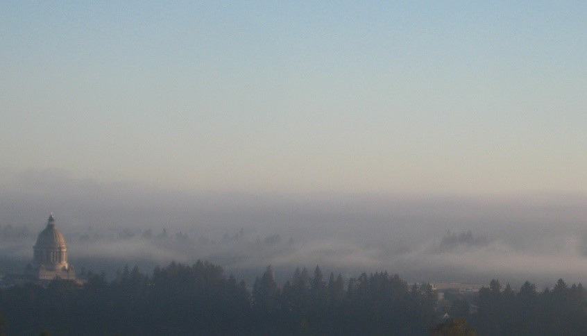 The short 60-day legislative session in Olympia left legislators squeezed to get many bills through the House and Senate. The bills covered in this posting have direct impacts on the fog lark aka the marbled murrelet. 
