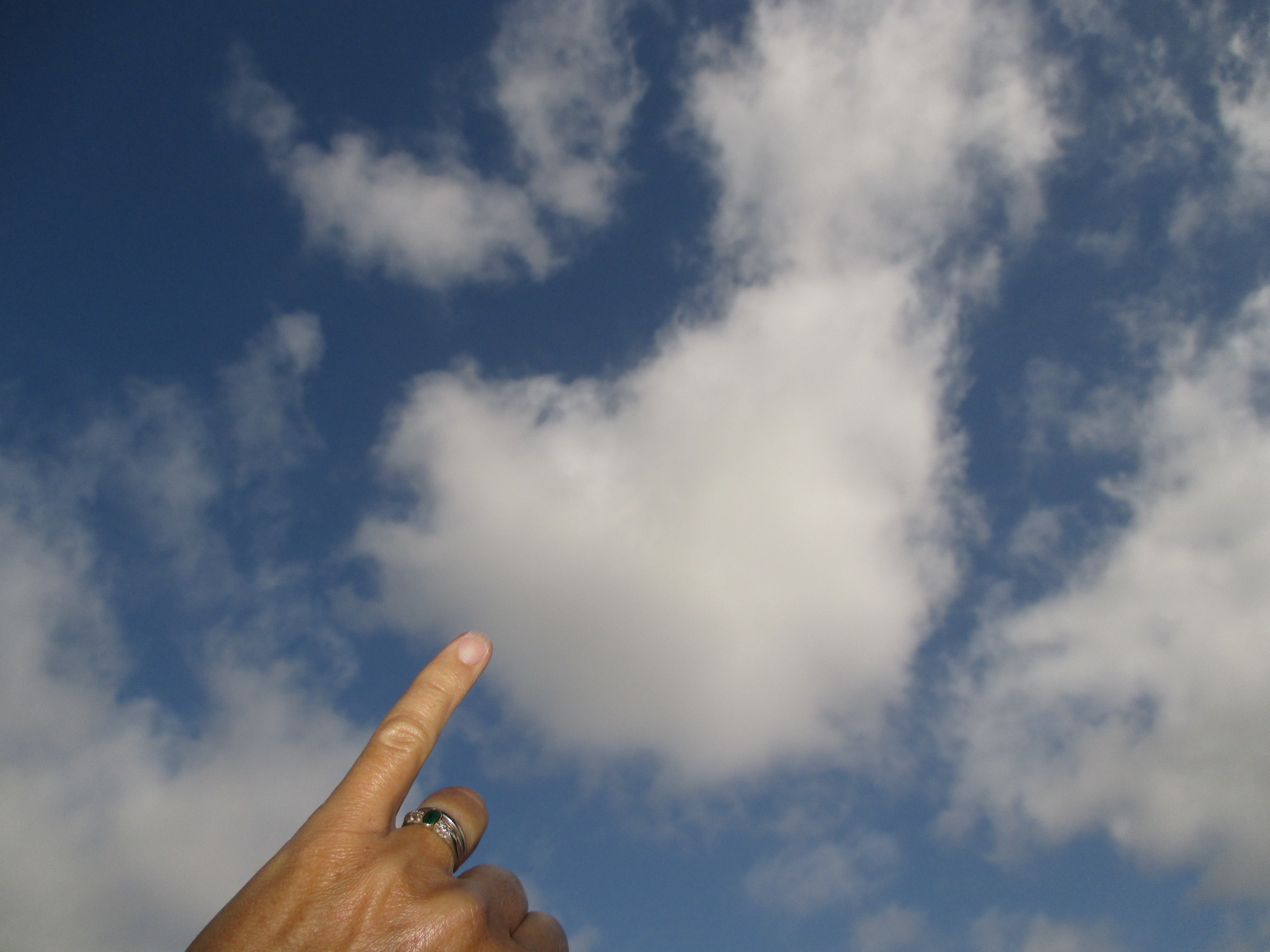 It's not cirrocumulus, higher clouds with cloudlettes the size of your pinky nail (or rice grains some say).