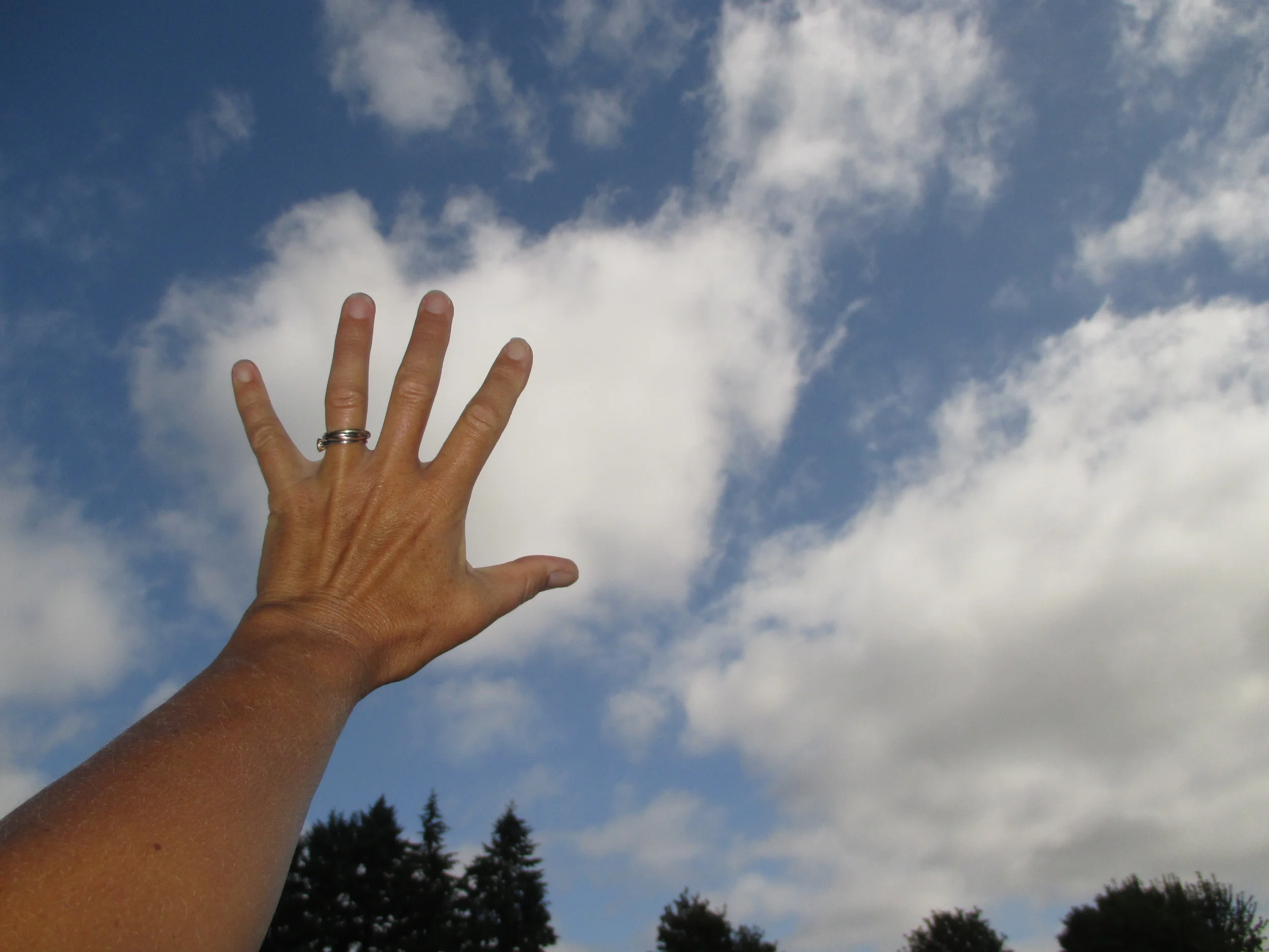 ...these are even bigger than my very large outstretched hand. The clouds don't have well-defined edges, flat bases, or the look of cumulus clouds. This leaves stratocumulus--a large, lumpy cloud that forms at low altitudes and is often formed as layered stratus clouds (fog) rise as they move inland over low hills. These clouds come in a variety known as stratocumulus fractus, which are the smaller (factions) of the stratocumulus cloud as it breaks apart or evaporates. Sure enough, when I checked the National Weather Service's forecast discussion, the morning cloud cover was described as "low clouds" and "stratus" and were predicted to rise, evaporate, and give way to mostly sunny skies.