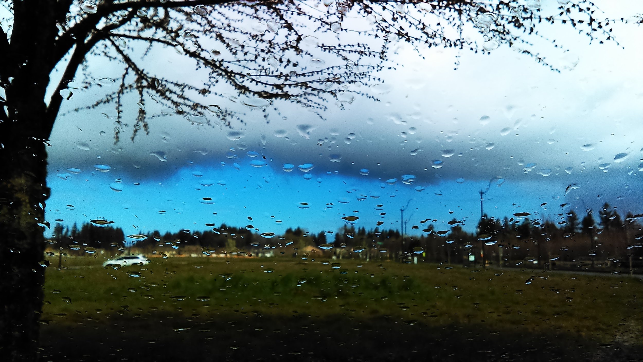 Nimbostratus.jpg