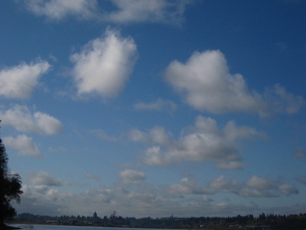 Cumulus (humilis and fractus)