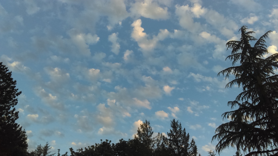 Altocumulus (castellanus)