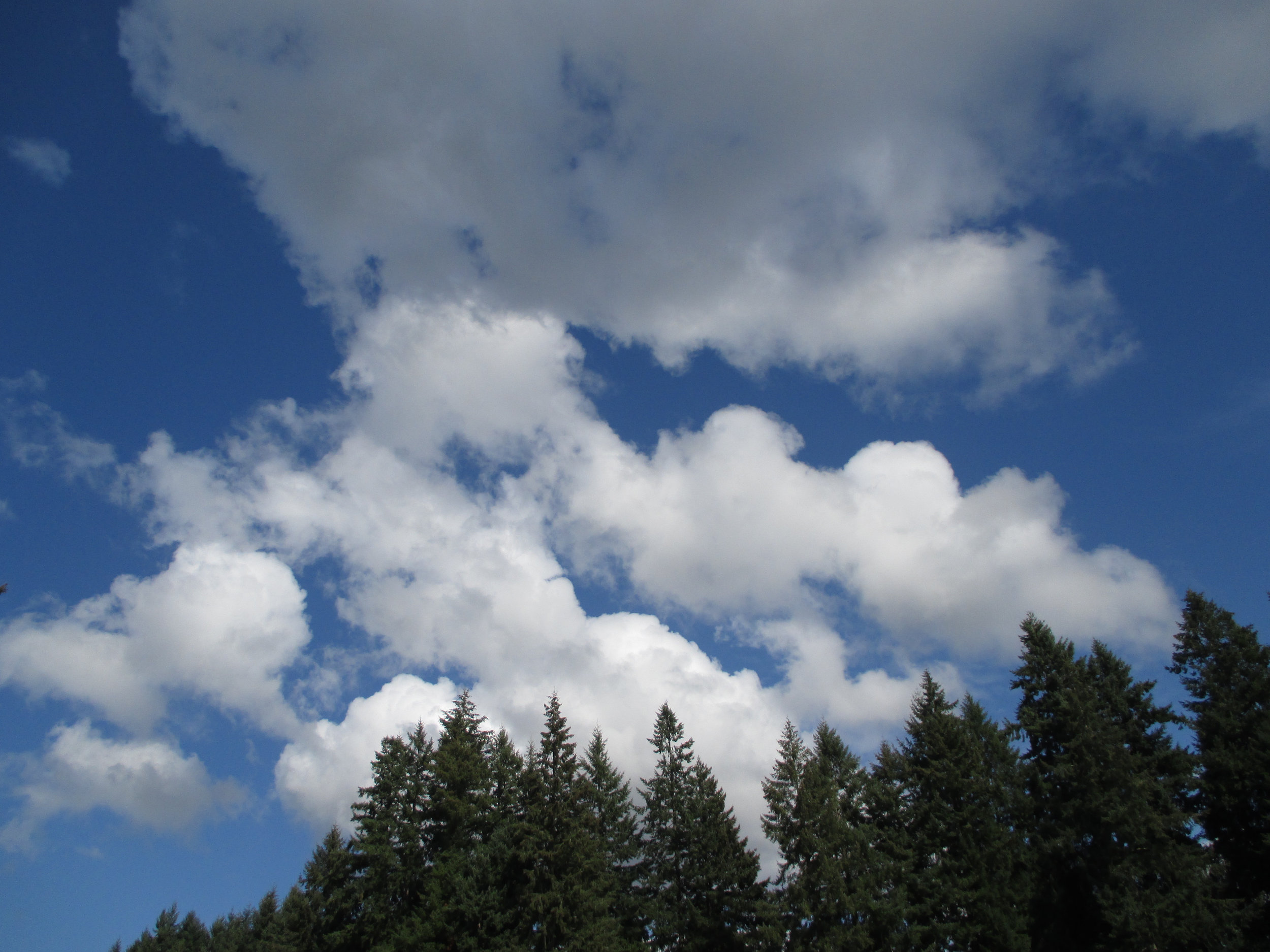 What kinds of clouds are these and why does author Maria Mudd Ruth want you to look up and notice them?