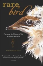 RareBirdCover.jpg
