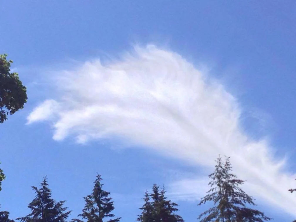 And here, a cirrus fibratus cloud from Vashon Island, WA. It's incredible what forms ice takes in our atmosphere. Photo by Richard Rogers, who named this cloud an "Angel Feather" and has written a book called 100 Words for Rain . Watch a fun video here to learn some of these PNW insider names. 