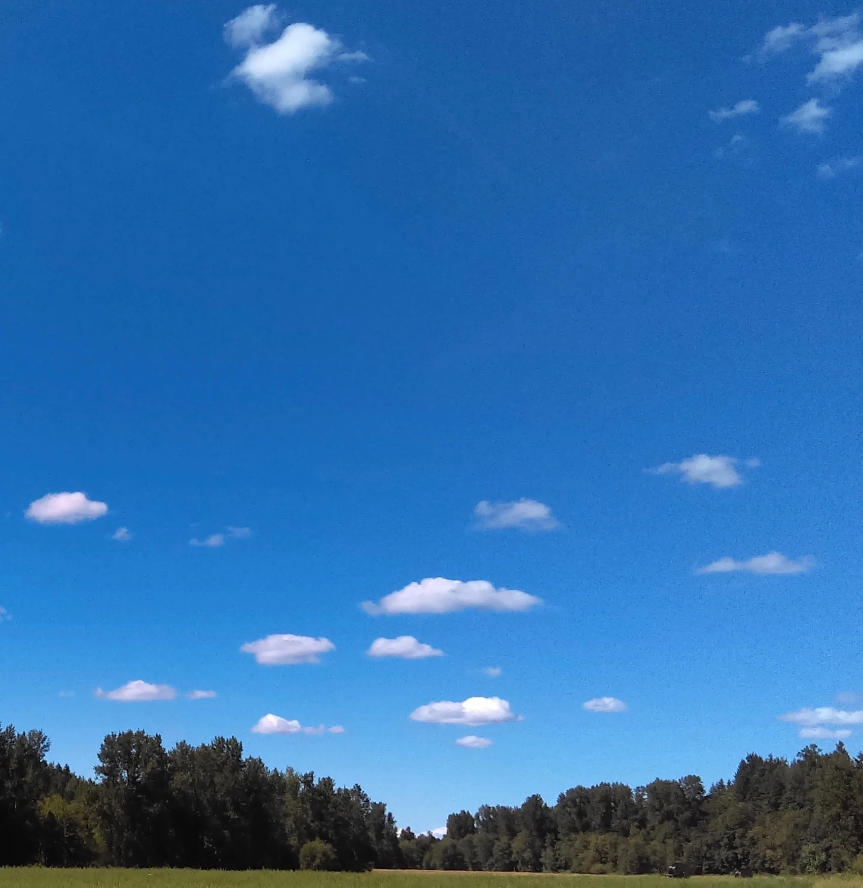 Water water everywhere...These small clouds (cumulus humilis) are composed of liquid water droplets. The blue sky around the clouds contains anywhere from zero to four percent (by volume) of invisible water vapor--molecules of water too small to be considered droplets, too small to scatter sunlight toward our eyes so we see a watery whiteness that is a cloud.