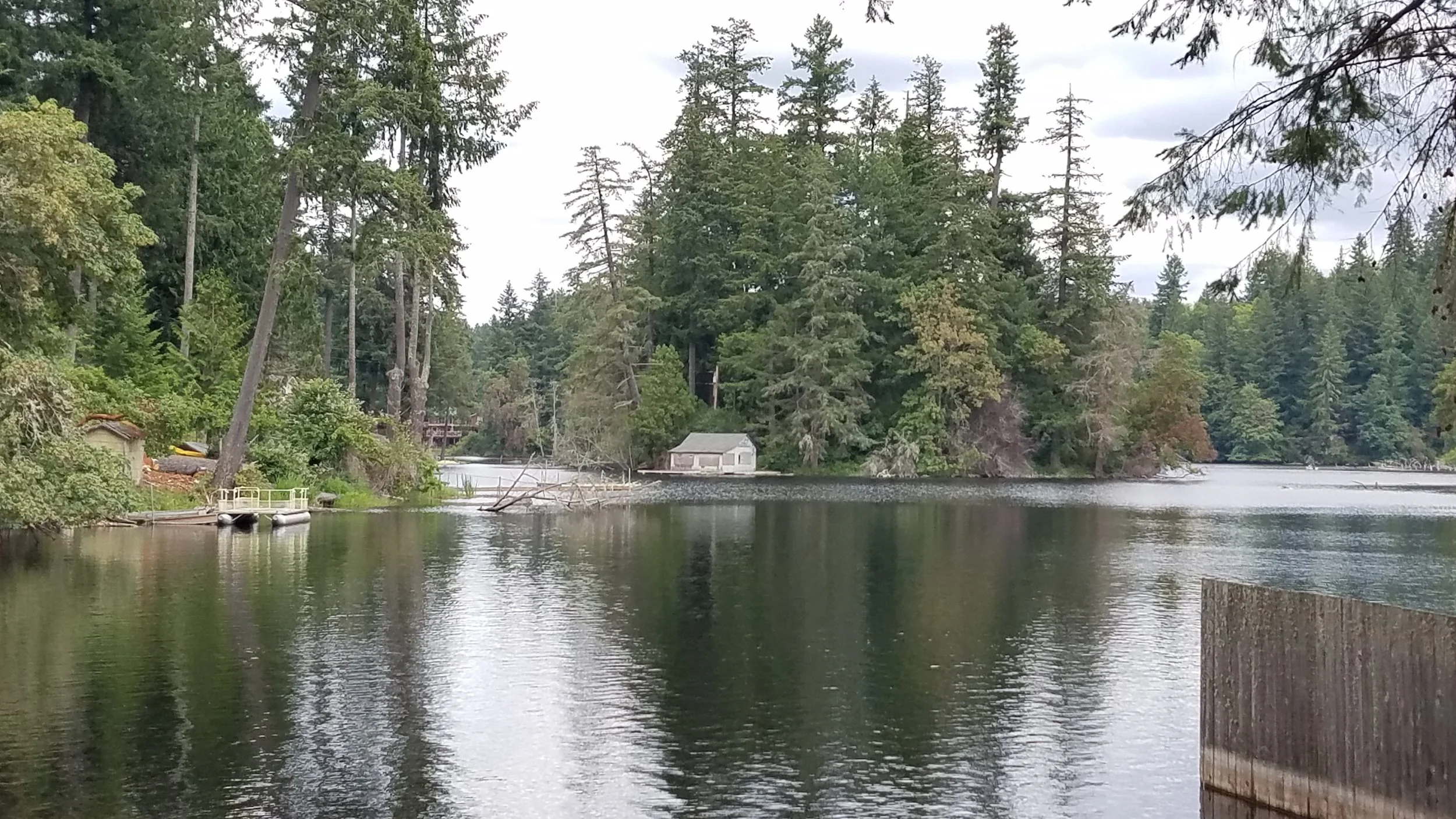 One of two public access points to Lake St. Clair leads you toward a small island (private property--humans and bald eagles)--one of four little islands in this irregularly shaped lake with many narrow arms to explore. You need a Discover Pass for parking at either boat ramp area. More info on access here .