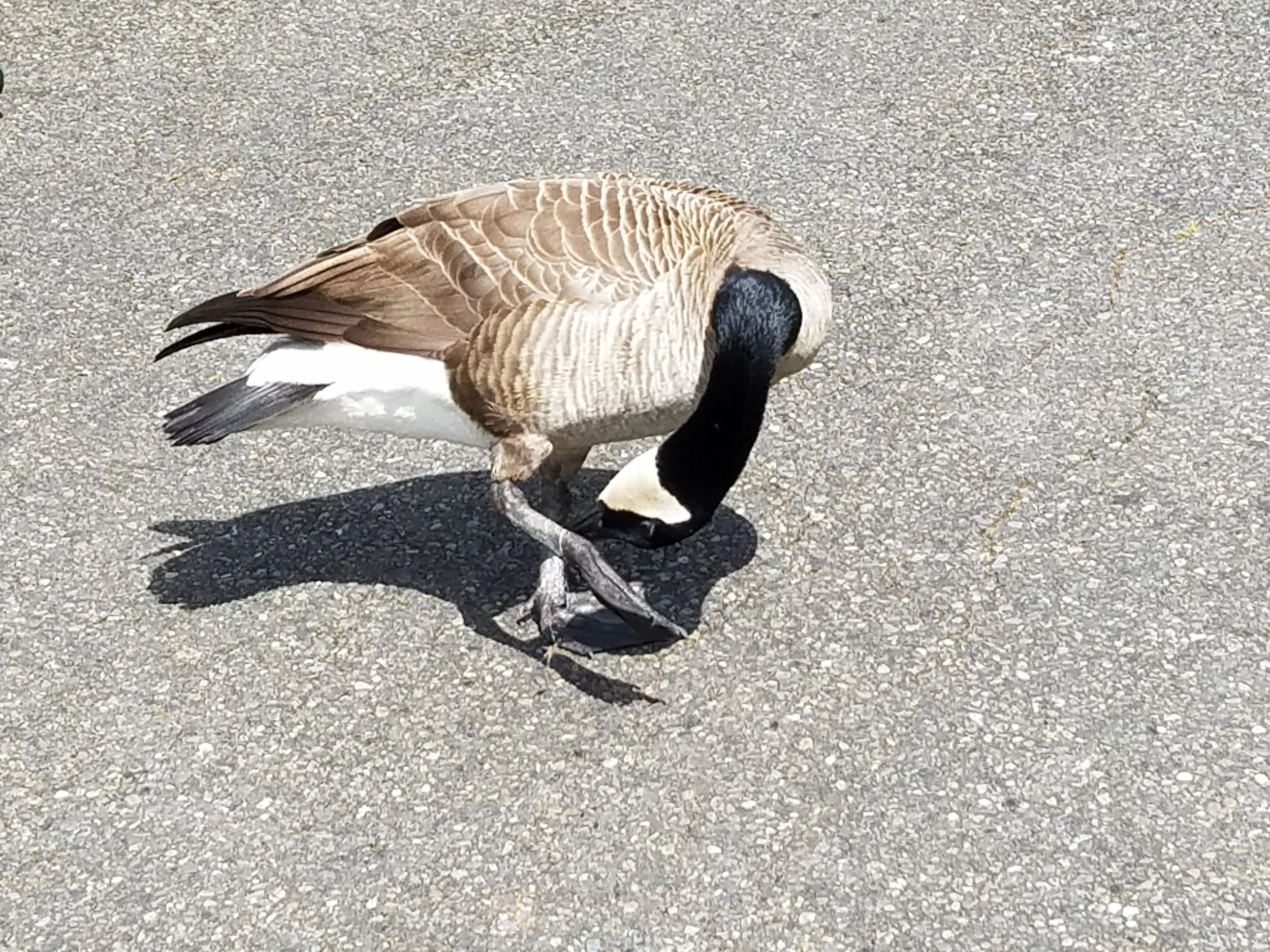 20190425_115232.jpg