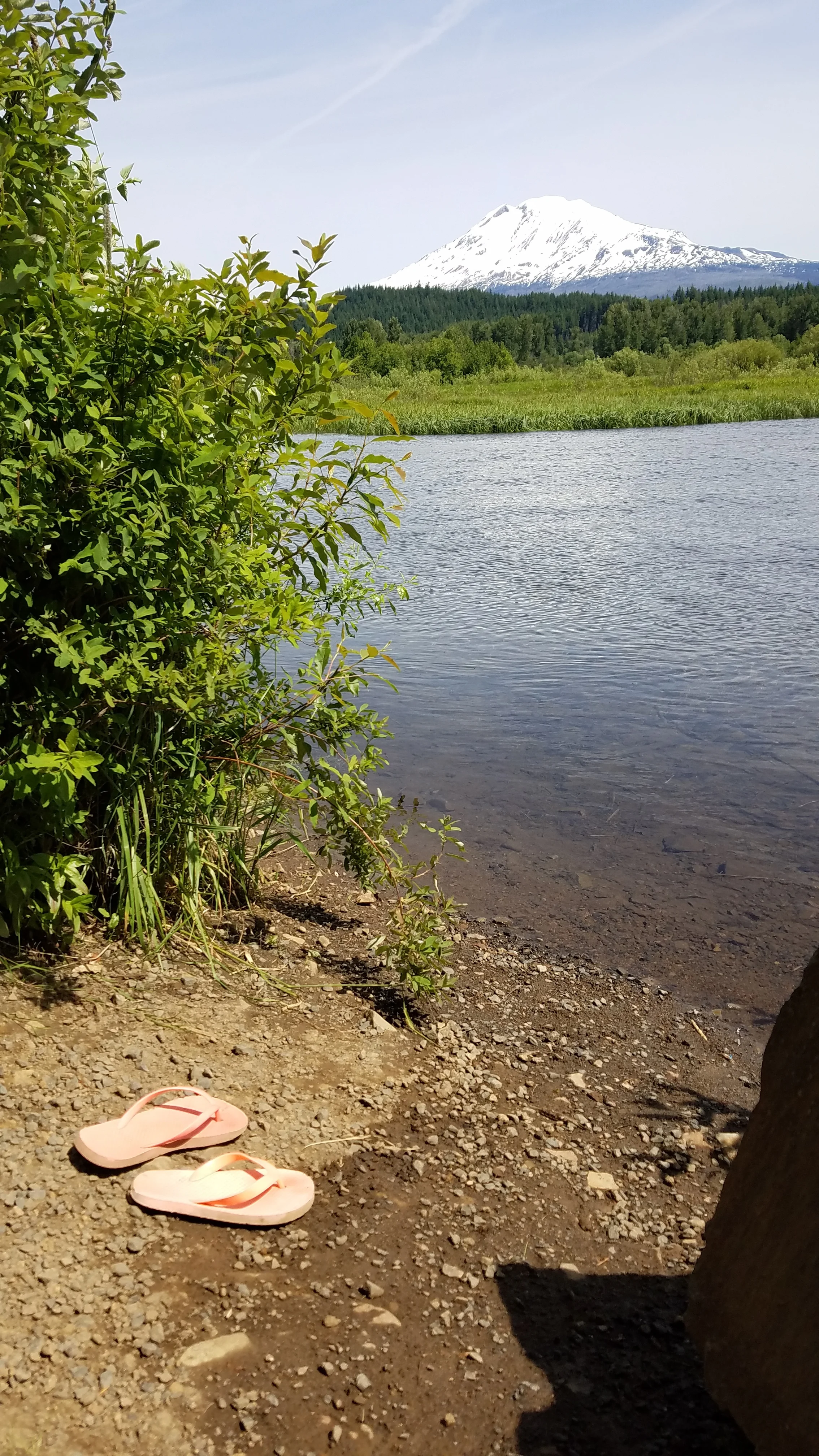 20190609_110110.jpg