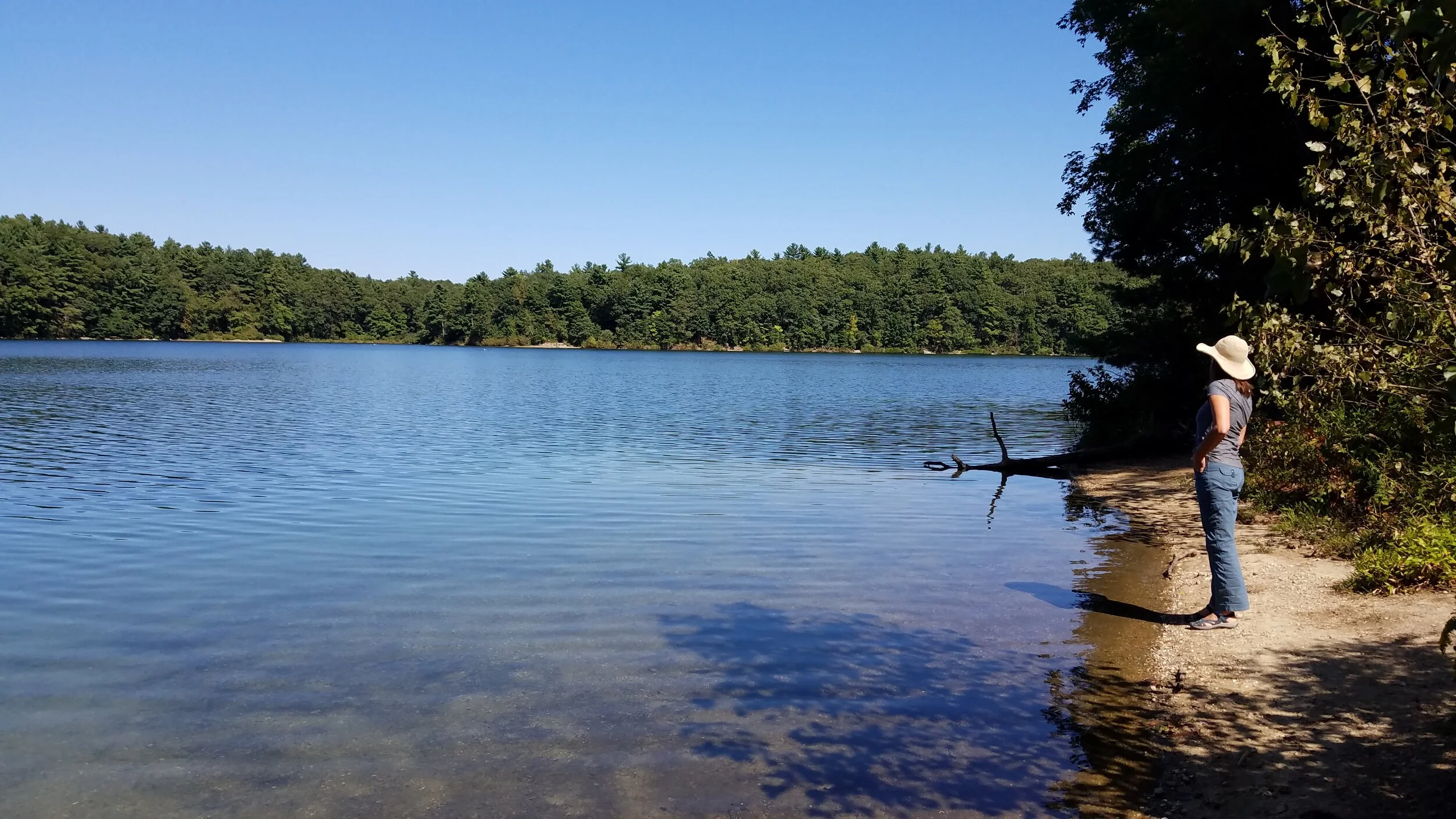 Walden Pond is a...Lake — Maria Mudd Ruth