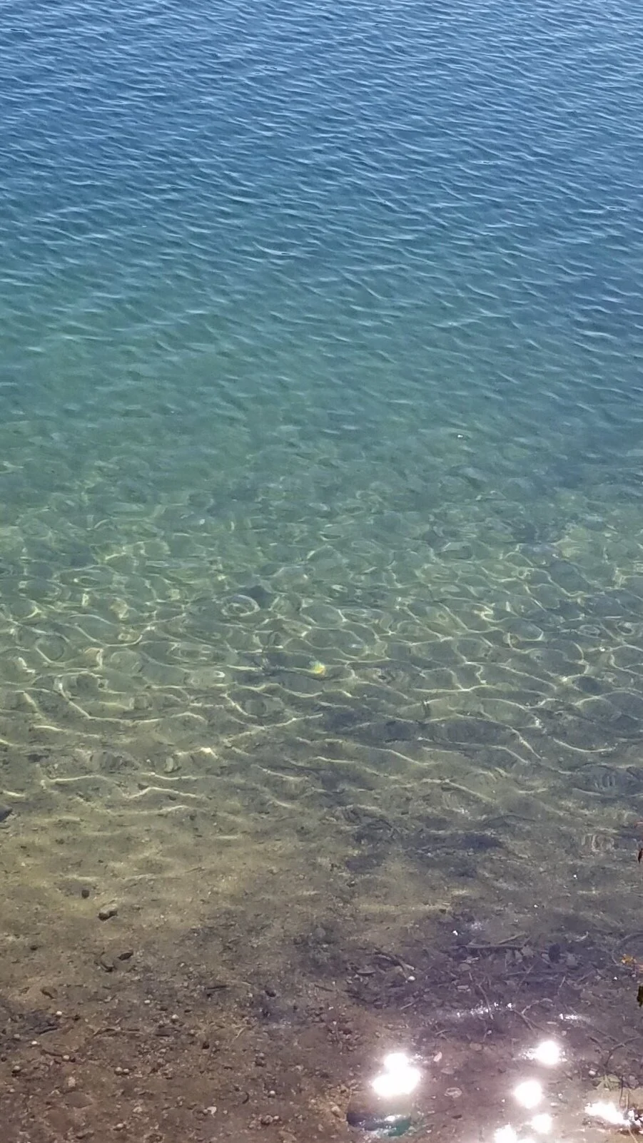 Walden Pond is full of surprises, including its clarity, range of cool colors, and seeming lack of change since Thoreau’s day. (Photo by M.D. Ruth)