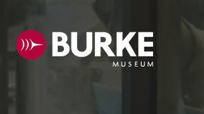 The Burke Museum 
