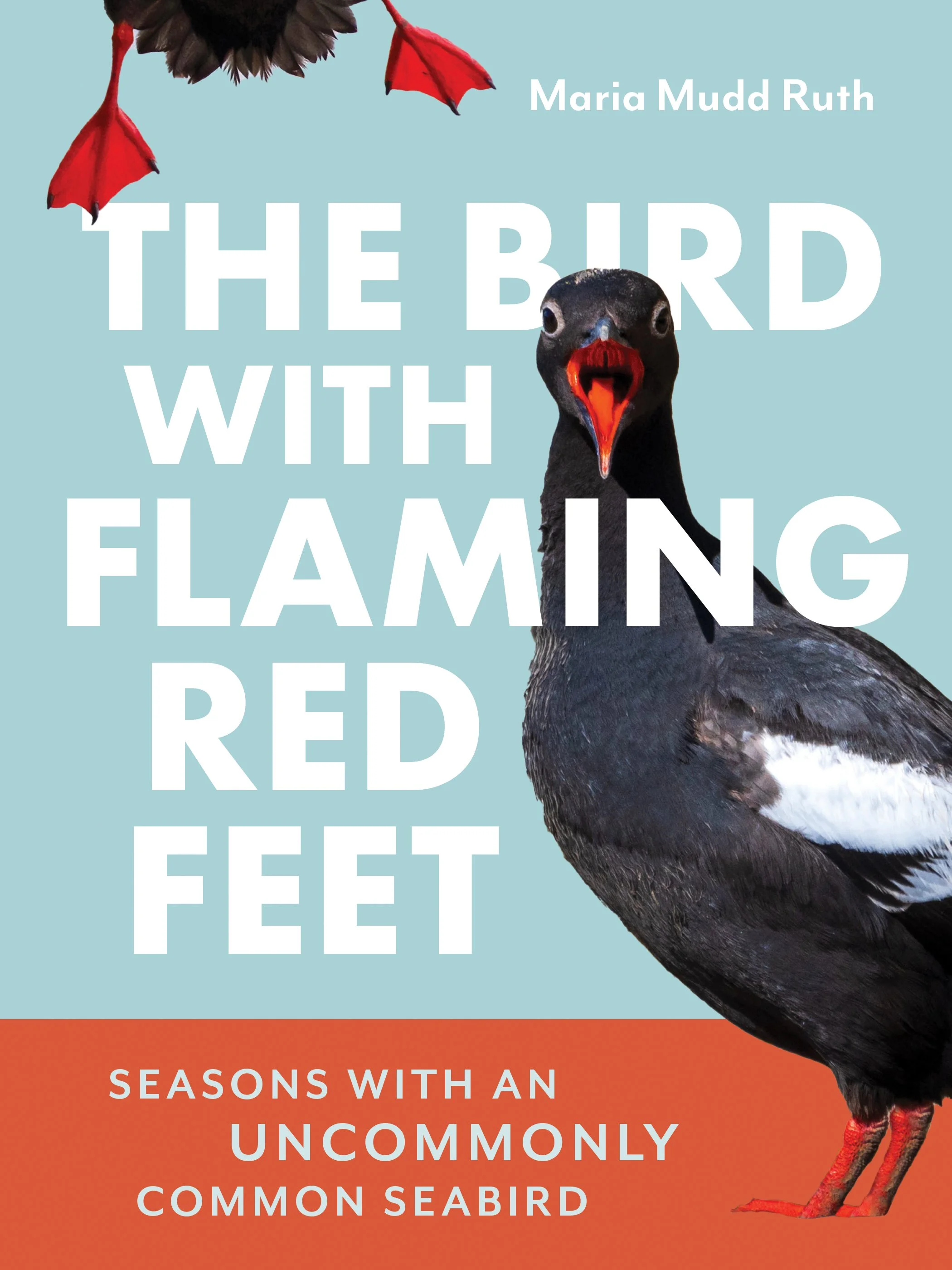 Puget Sound Bird Fest