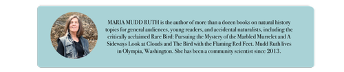 Maria Ruth Mudd Maria Mudd Ruth
