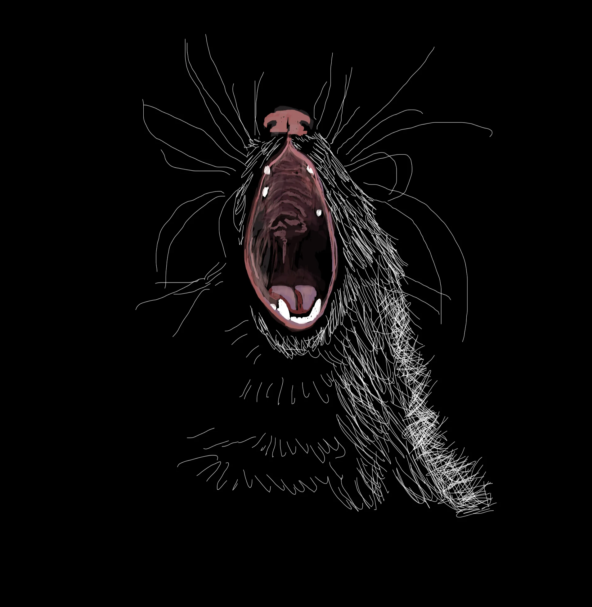 mouse copy.jpg