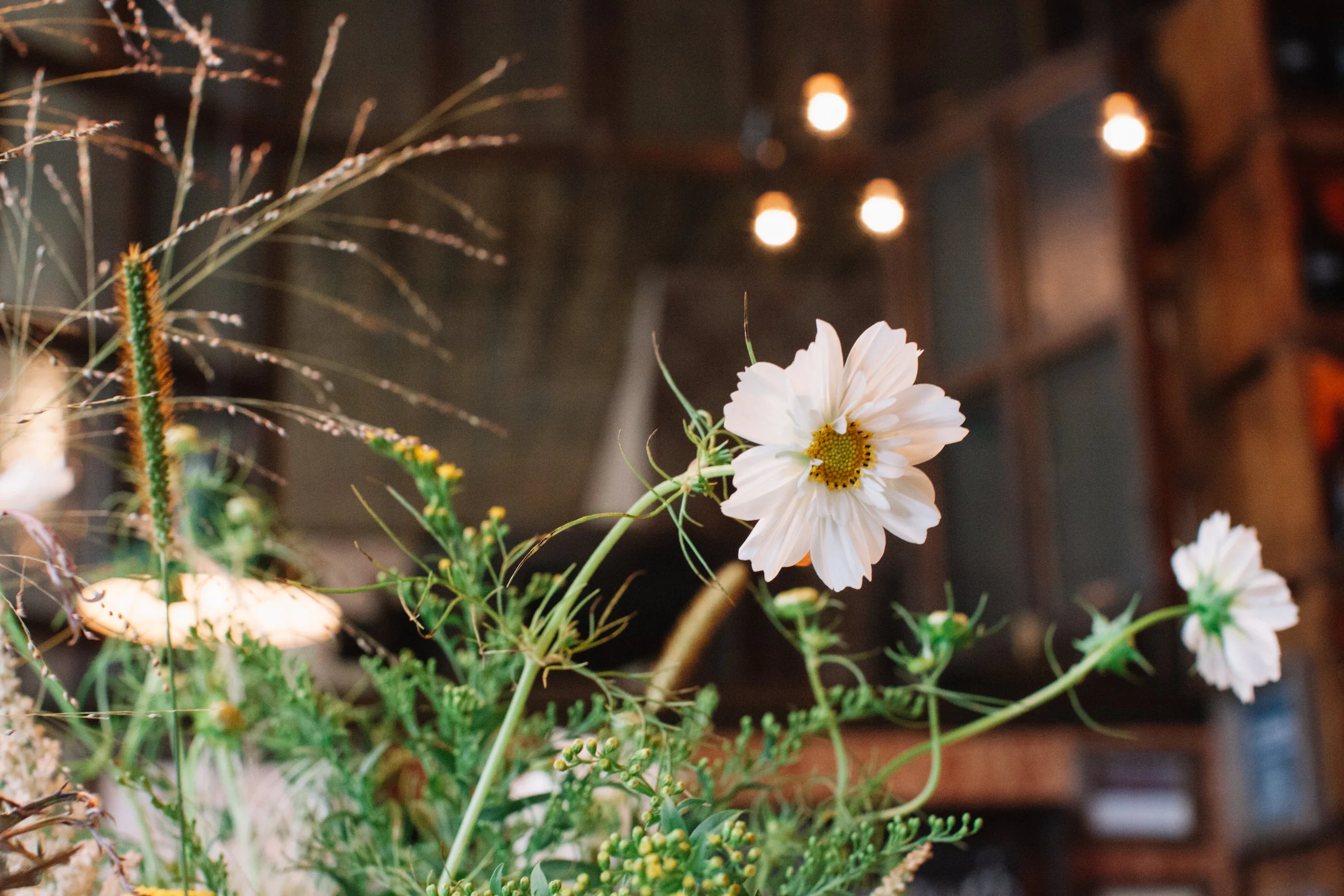 YelenaTravisWedding-821.jpg