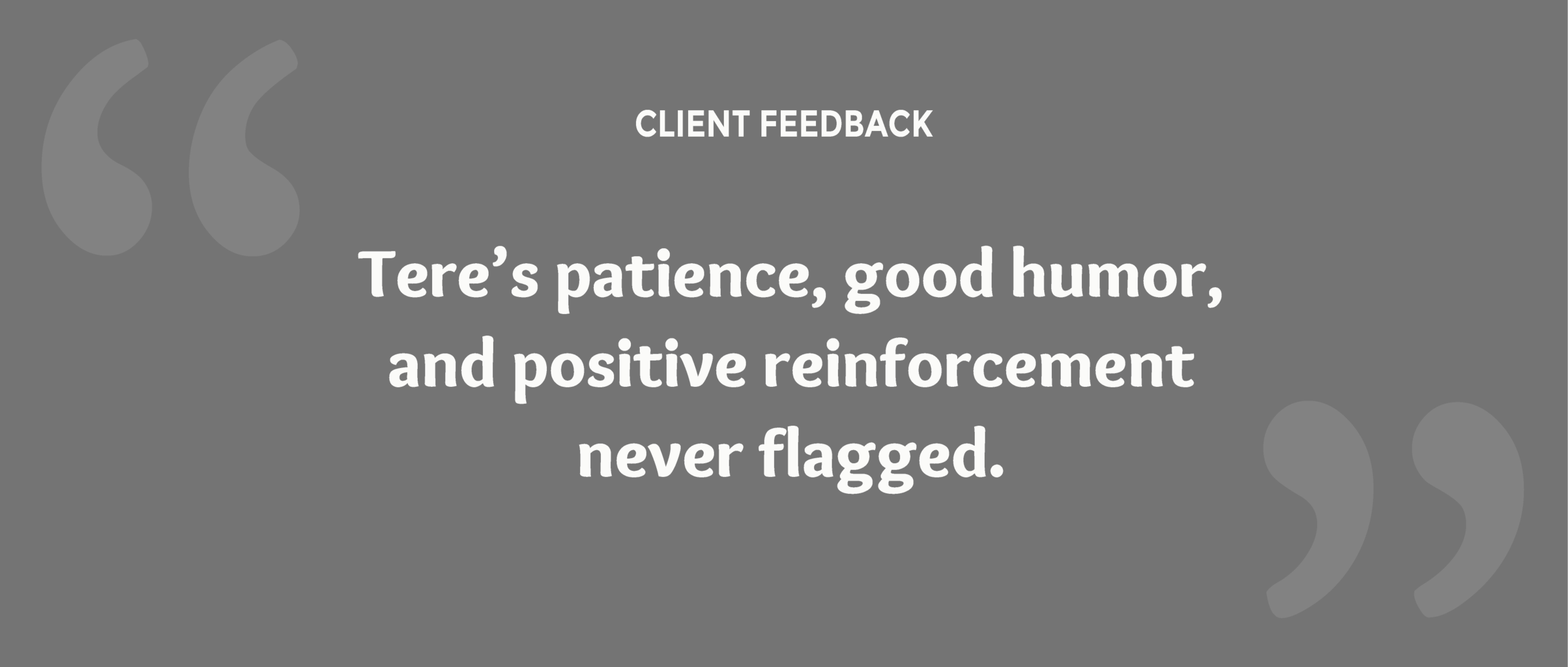 about-client-feedback5.png