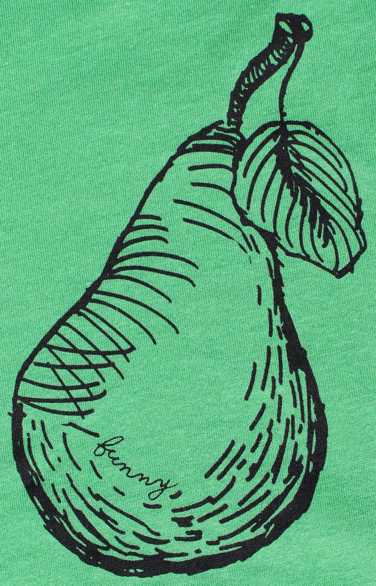 Copy of 1_Pear_Close_4d145756-4a1f-4e28-920a-a8340e6ad4f7.jpg