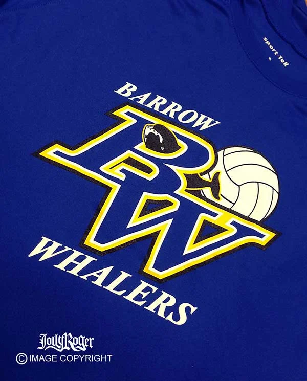 BW-ScreenPrint-VOLLEYBALL.jpg
