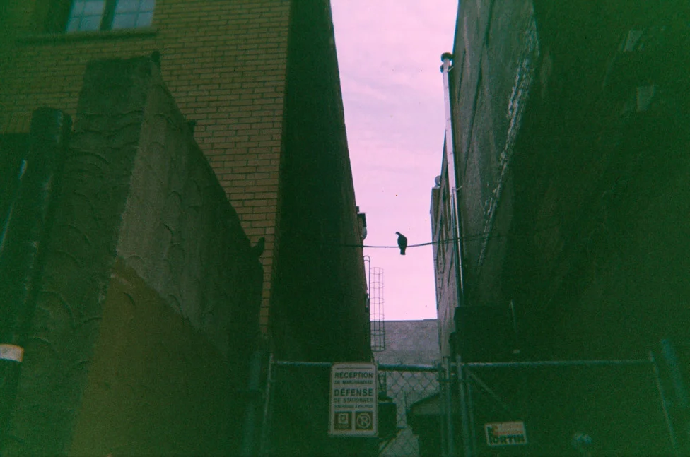 005_5.jpg