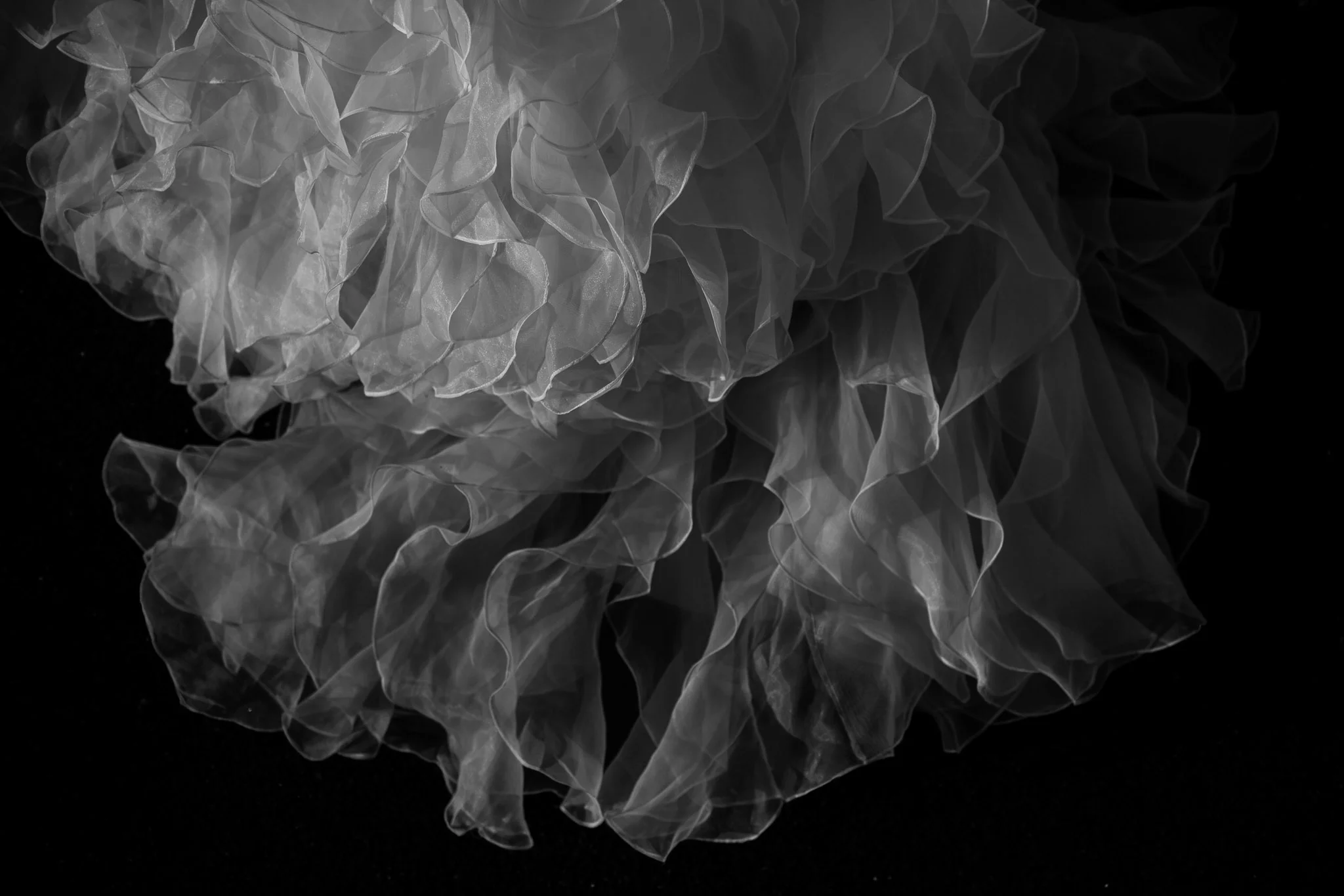 Wedding-502.jpg
