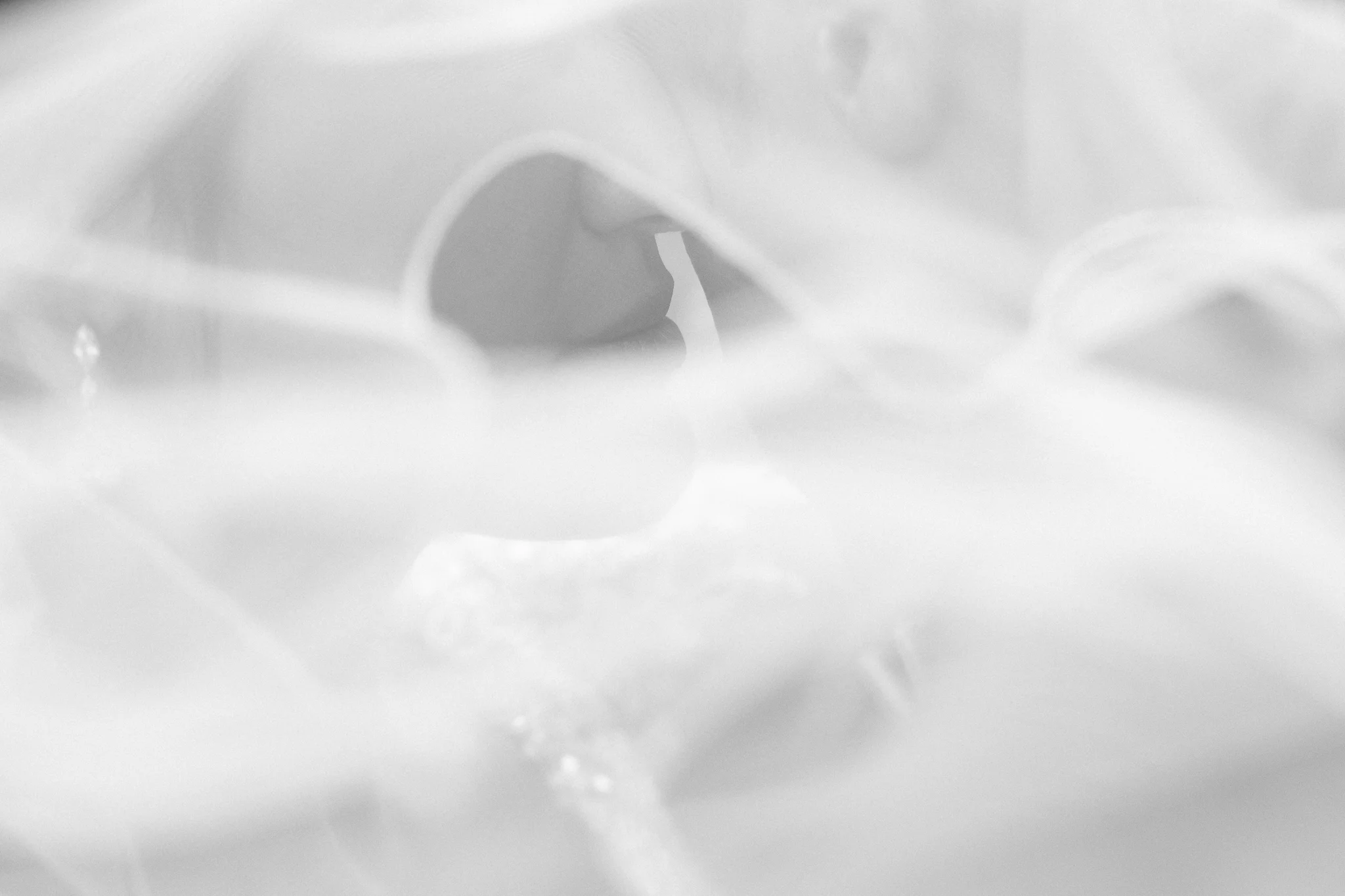 Wedding-374.jpg