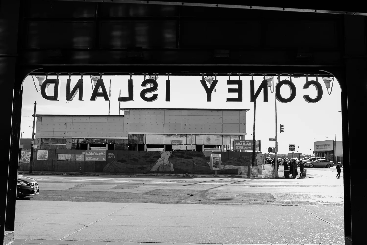 Coney-1.jpg