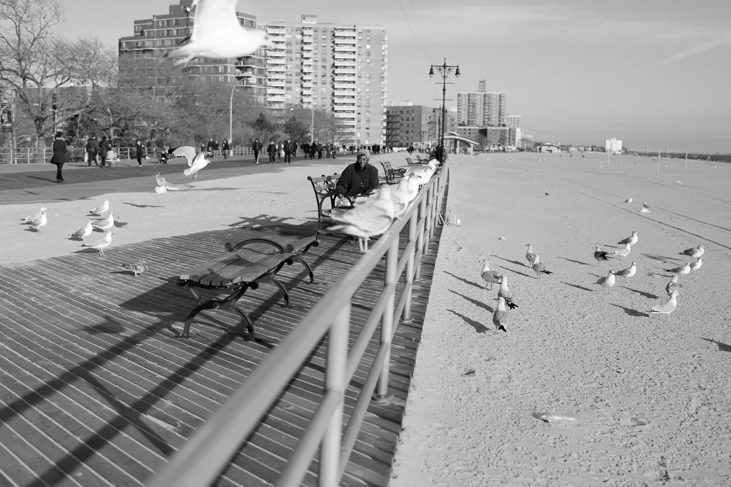 Coney-28.jpg