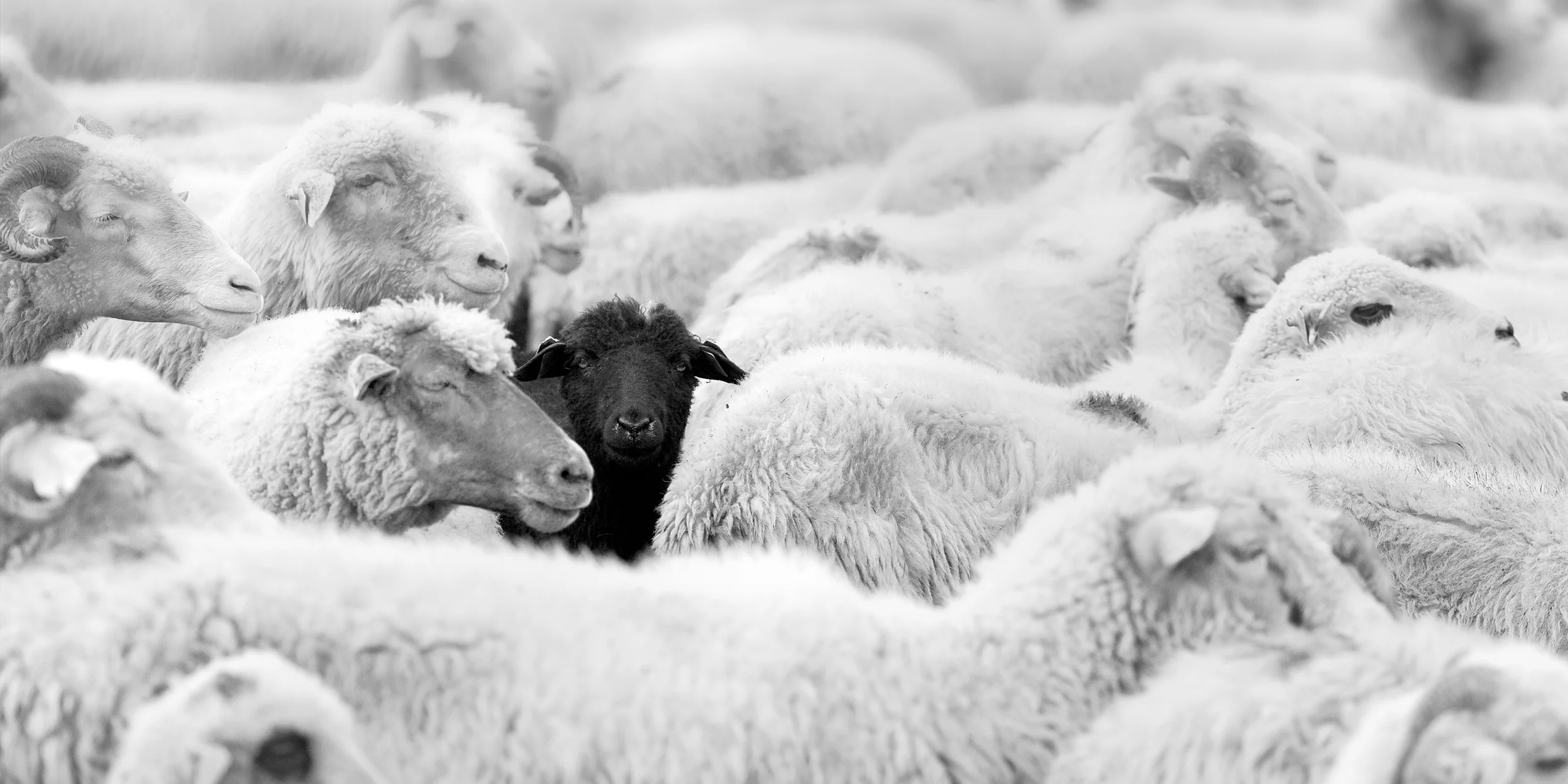 Insurance: Take a calculated risk