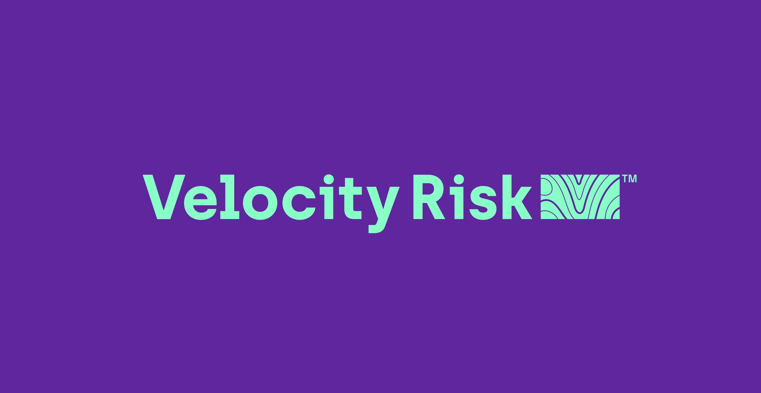 Velocity Risk
