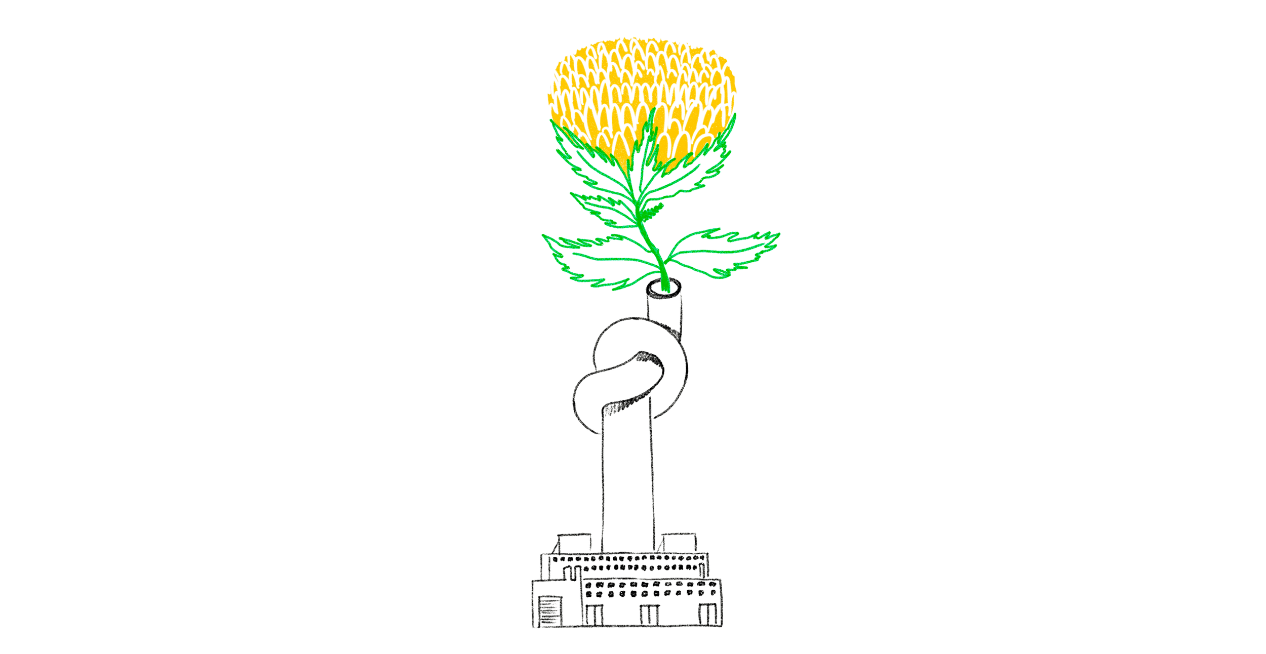 Sketch-flowers2.png