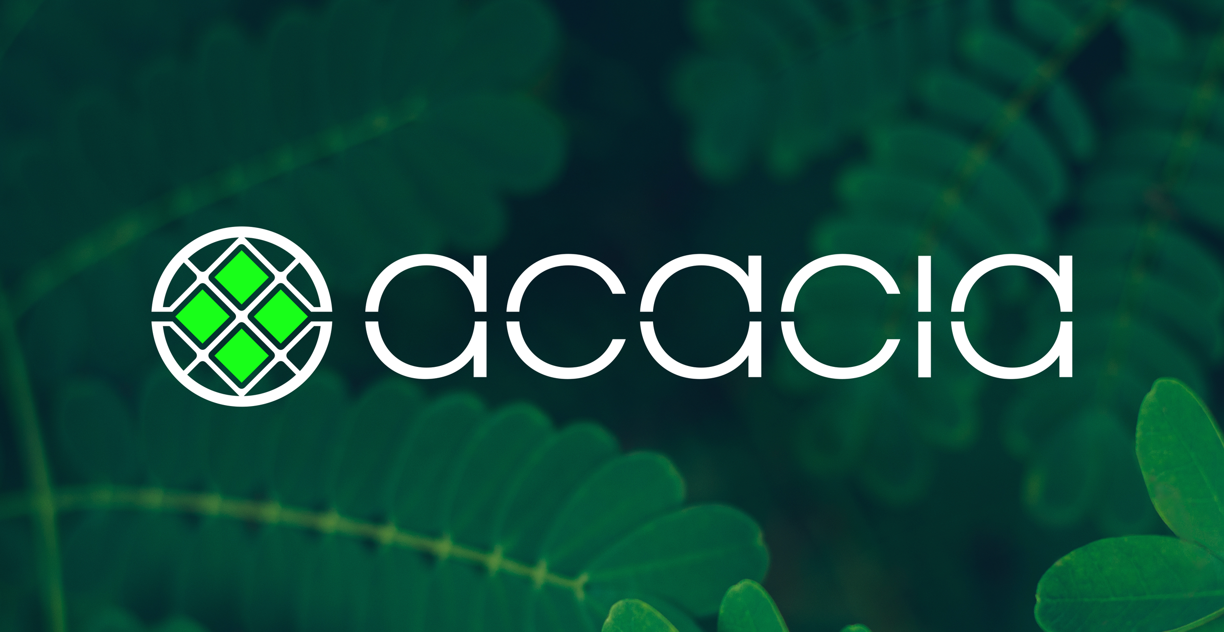 Acacia_Logo_Acacialeaves.png