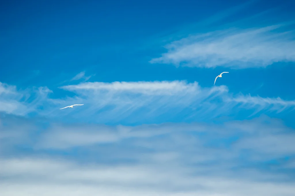 DSC_3442.jpg