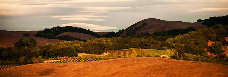 sonoma1.jpg